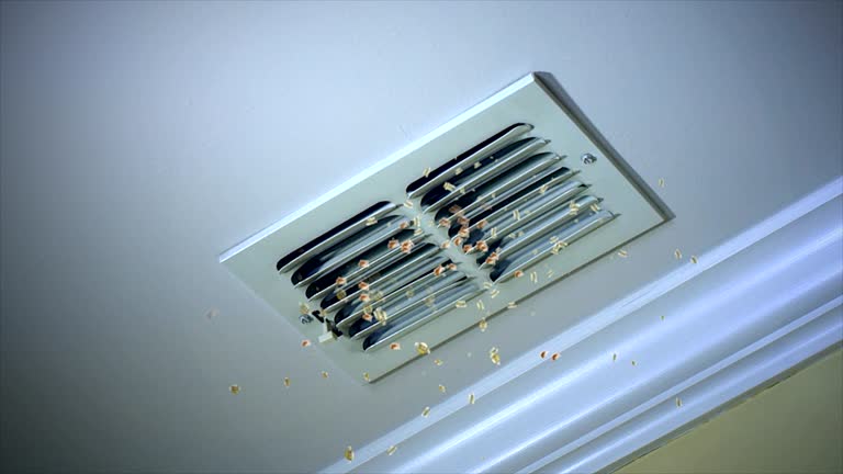 Best HVAC Air Duct Cleaning  in Fetters Hot Springs Agua Liente, CA